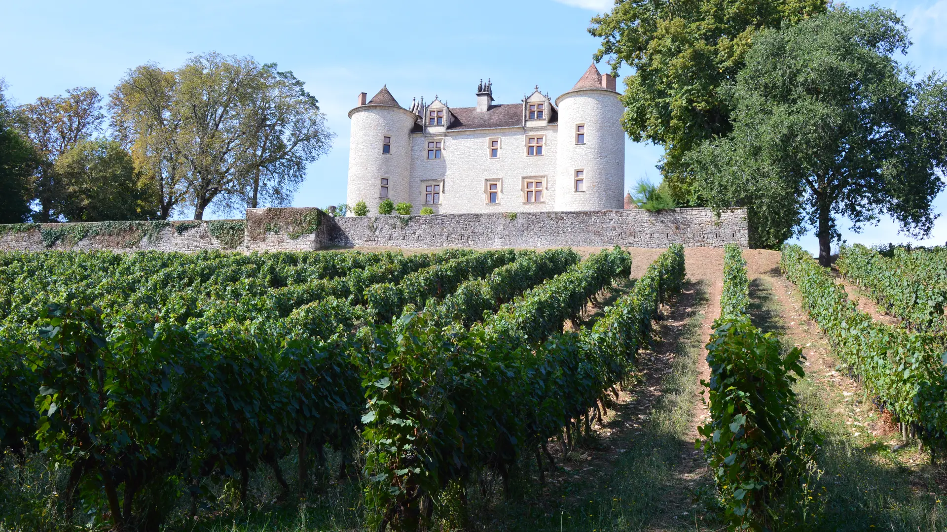 les vignes du chateau lagrezette