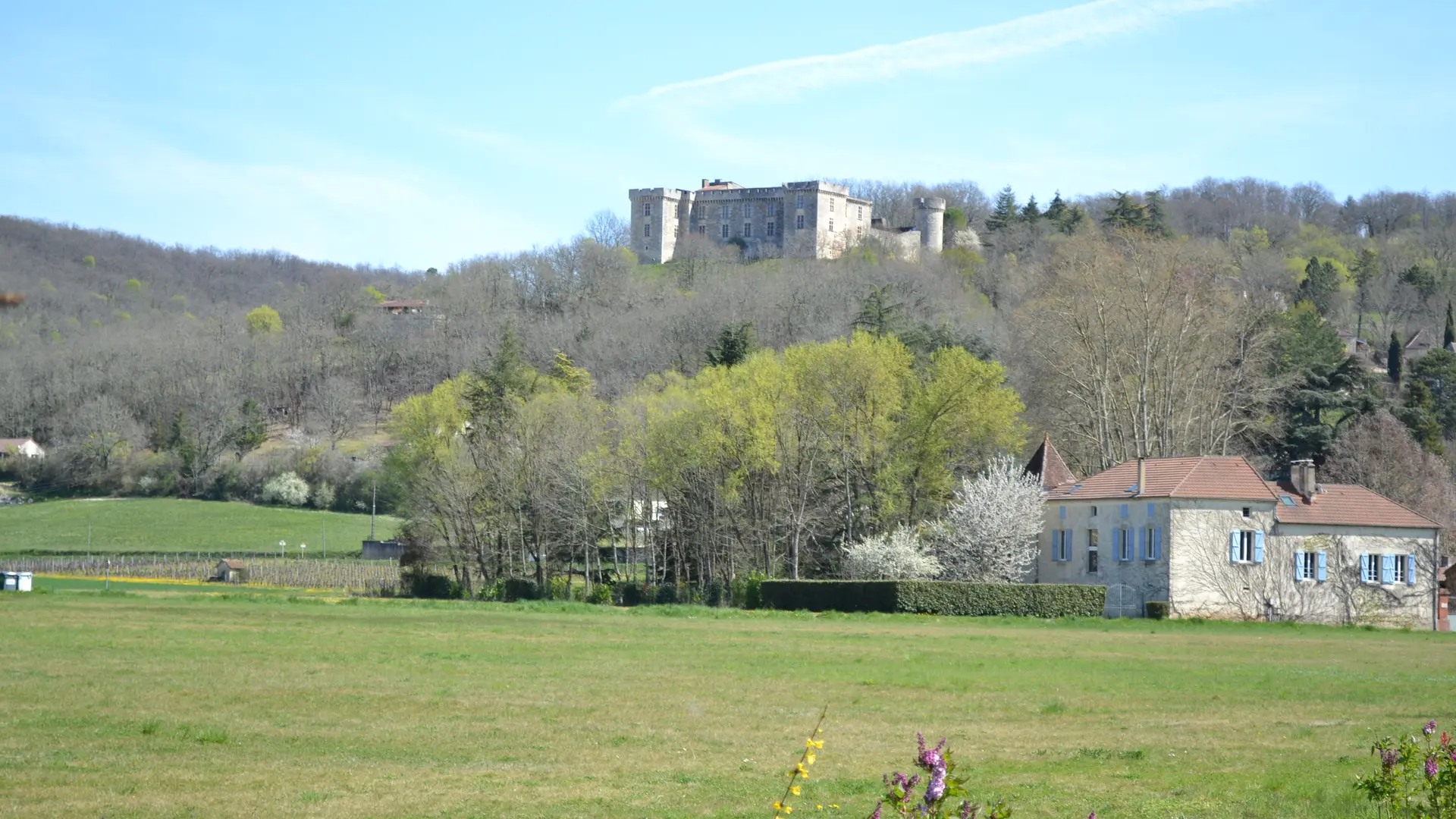 Le Chateau de La Coste