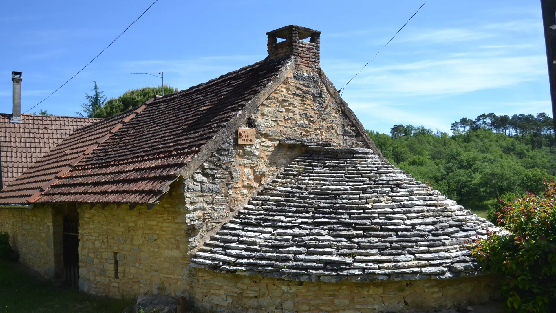 DSC_0527 - Copie