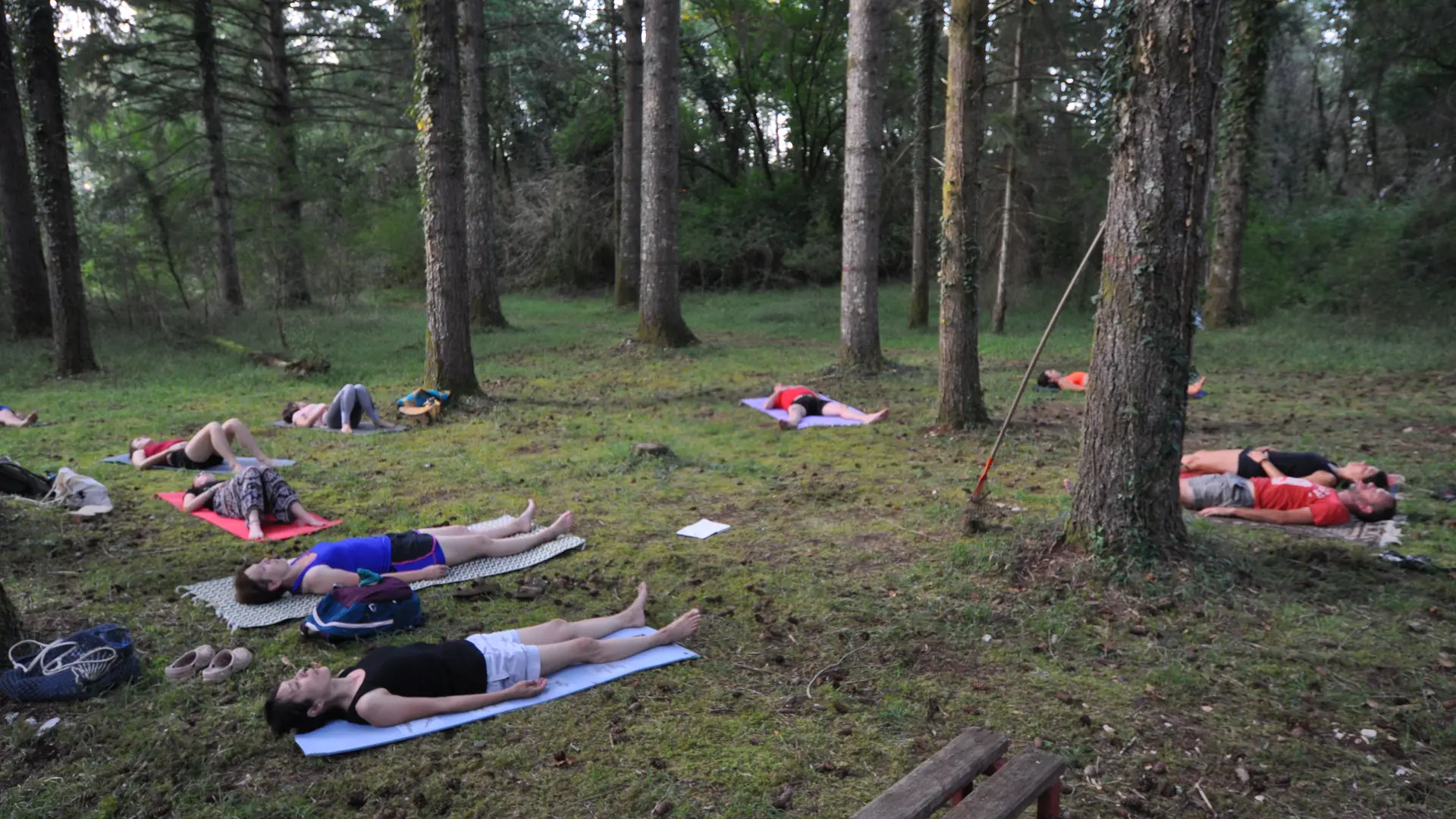 yoga en forêt