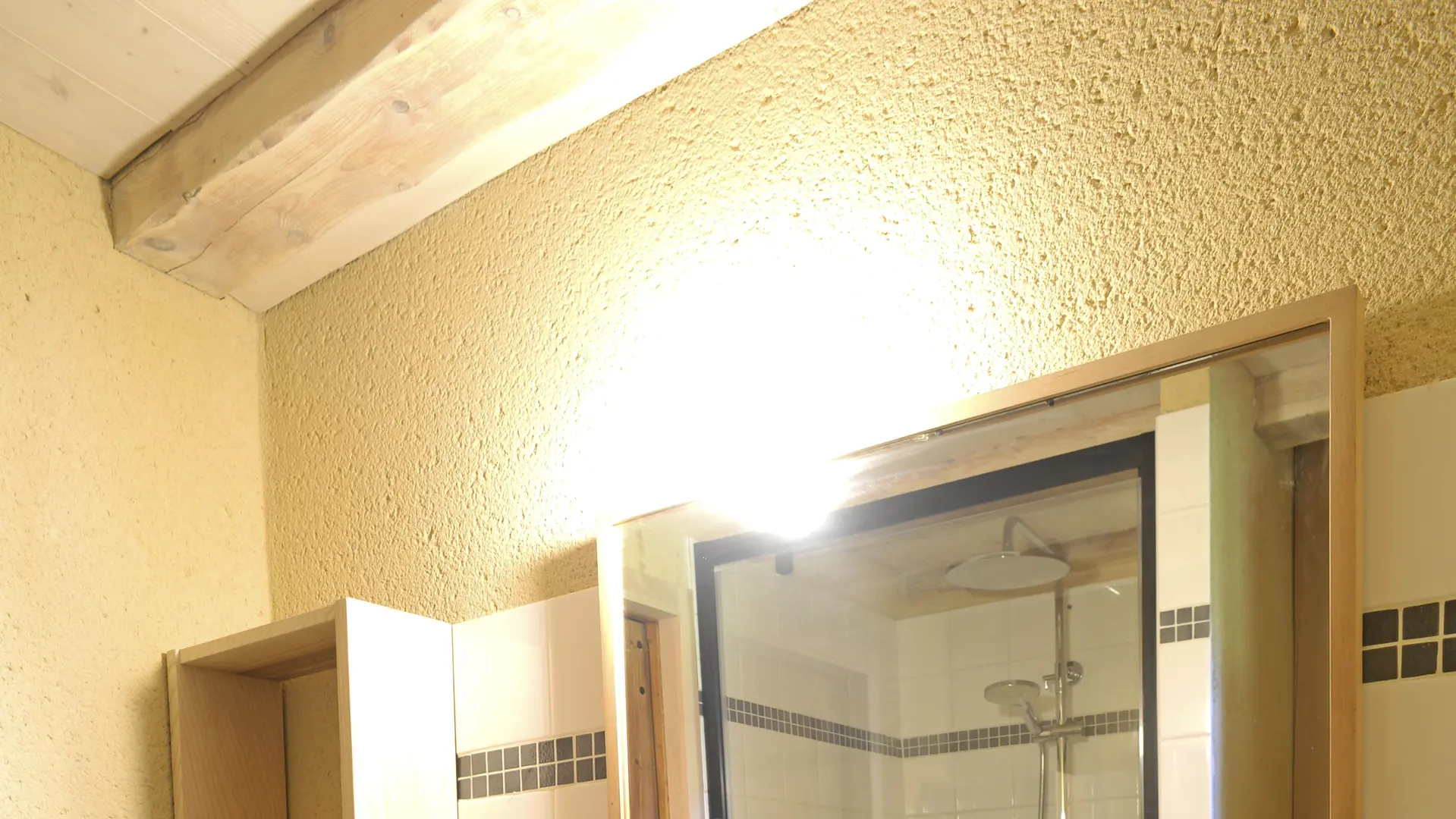 Salle de bain douche avec toilettes