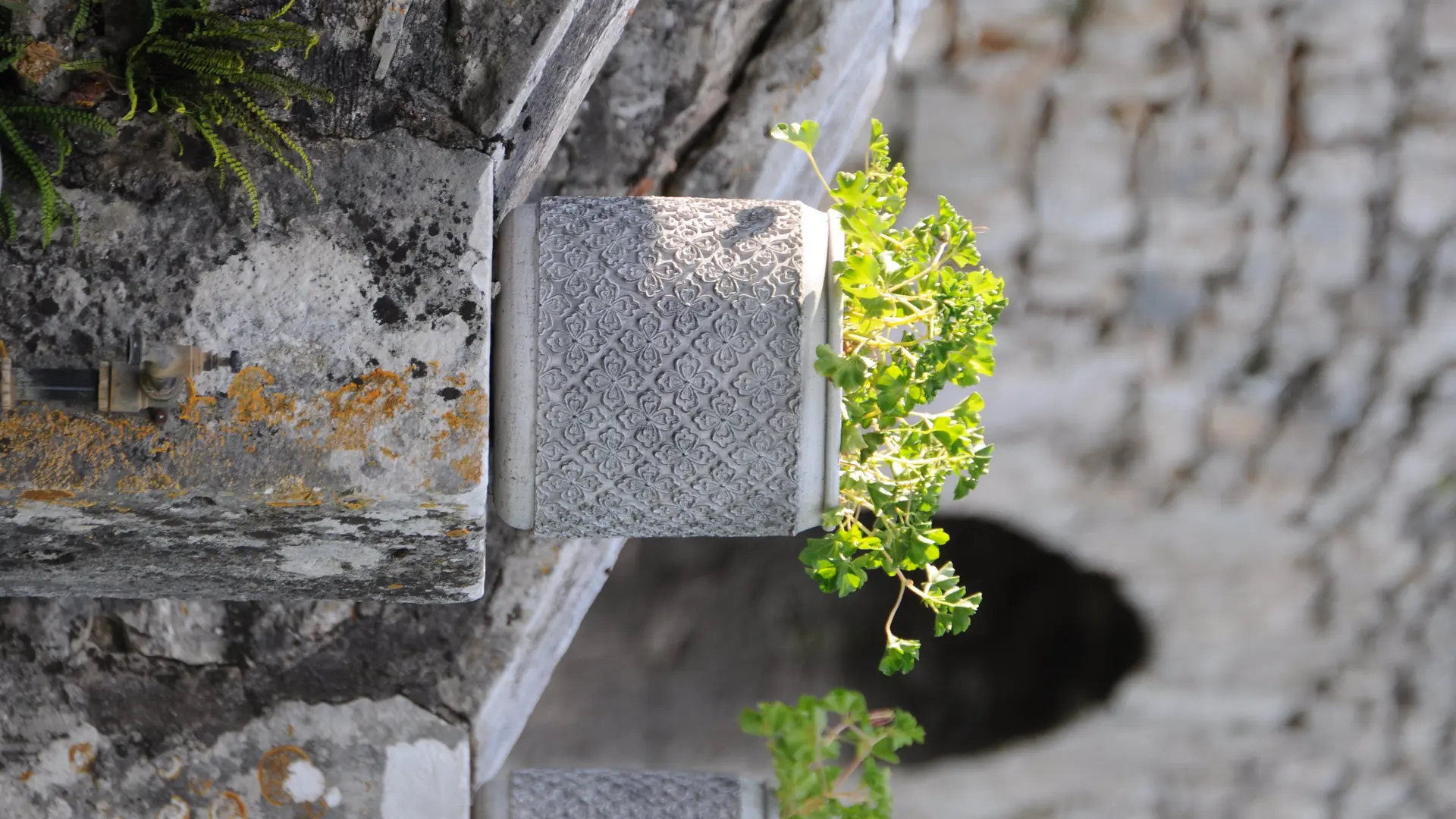 Arche en pierre au coeur du parc