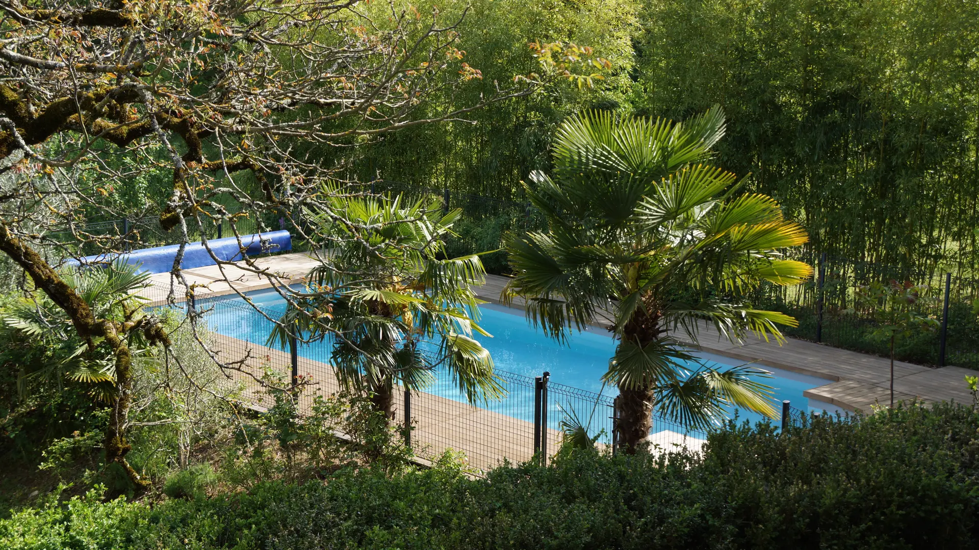 Gîte Ailanthus - piscine