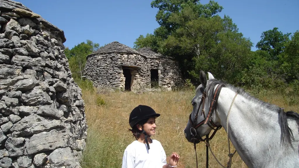 Ferme équestre du Pech Merle - Cabrerets