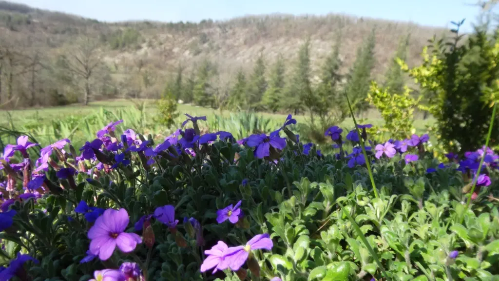 Vue de la propriété