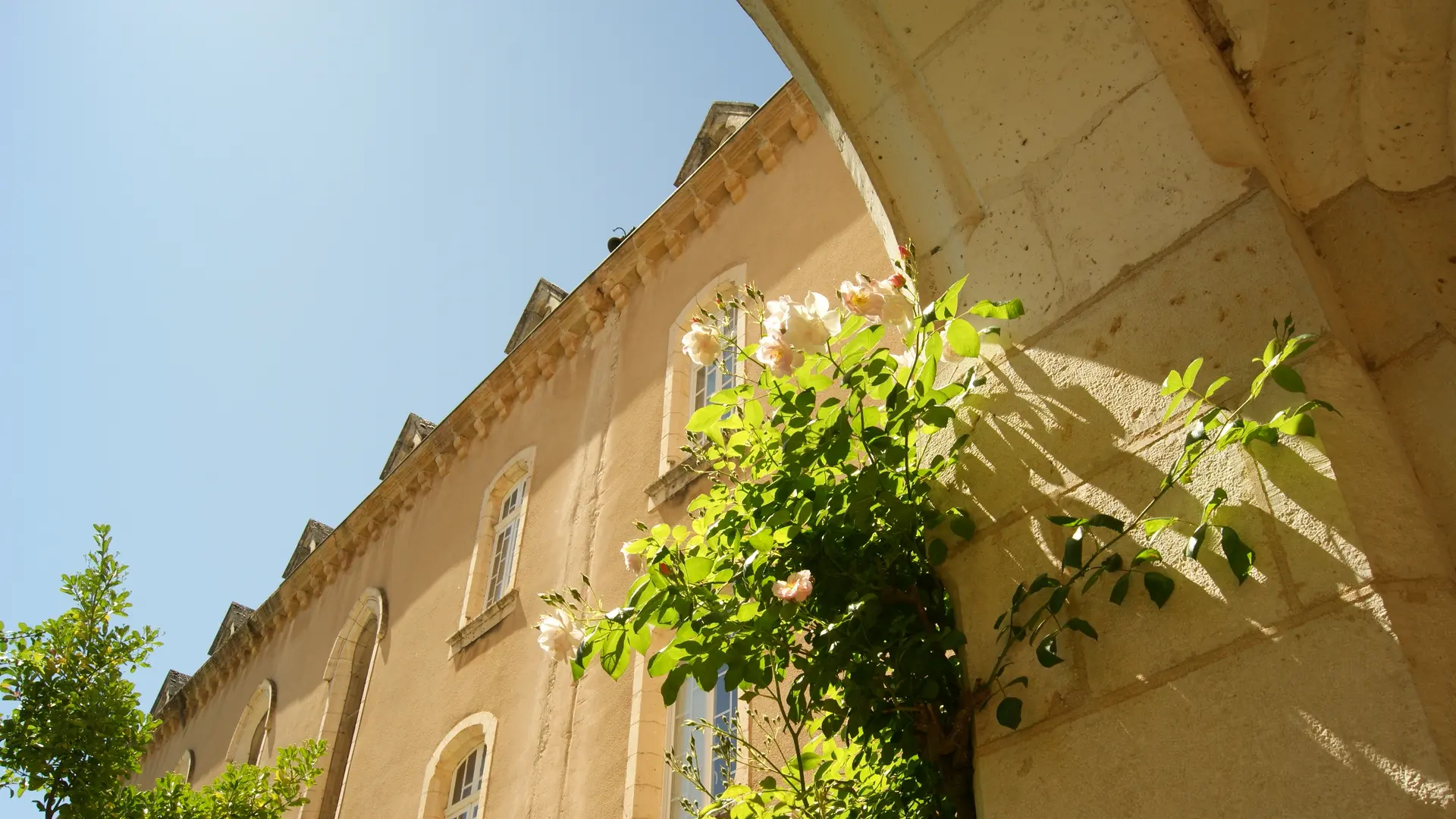 Le Cloître en fleurs