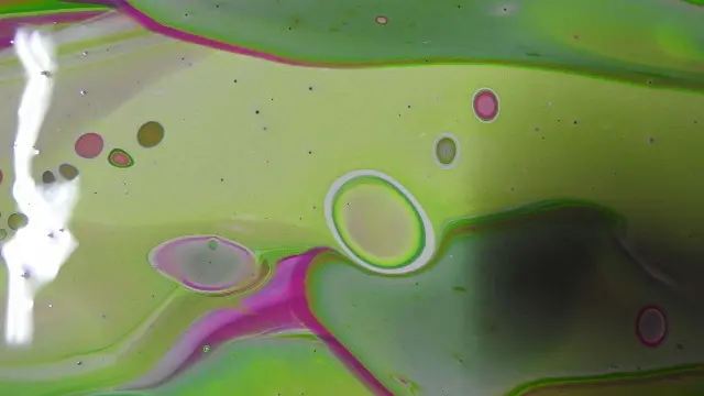 DSCN0185
