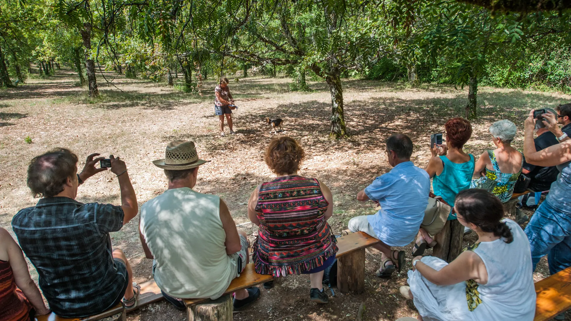 Démonstraion de cavage (recherche de truffe) 01 © Lot Tourisme - C. ORY