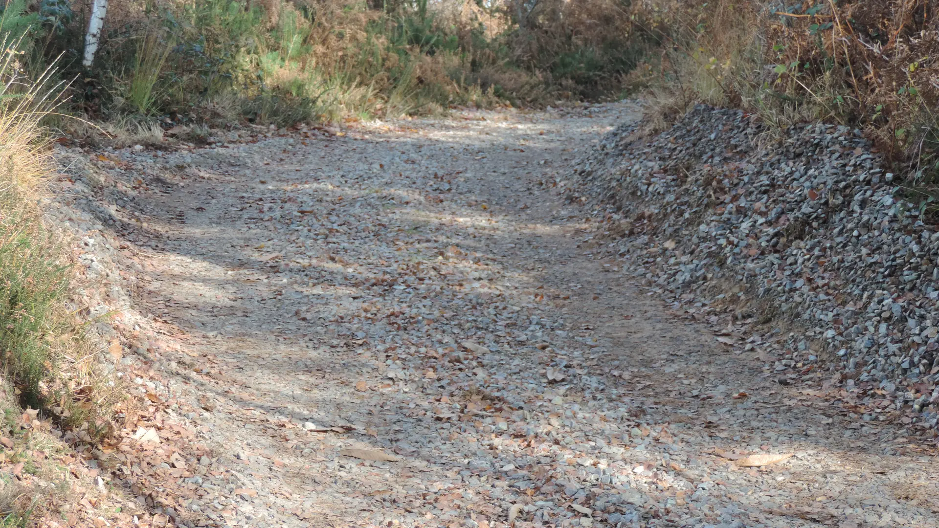 Début du chemin