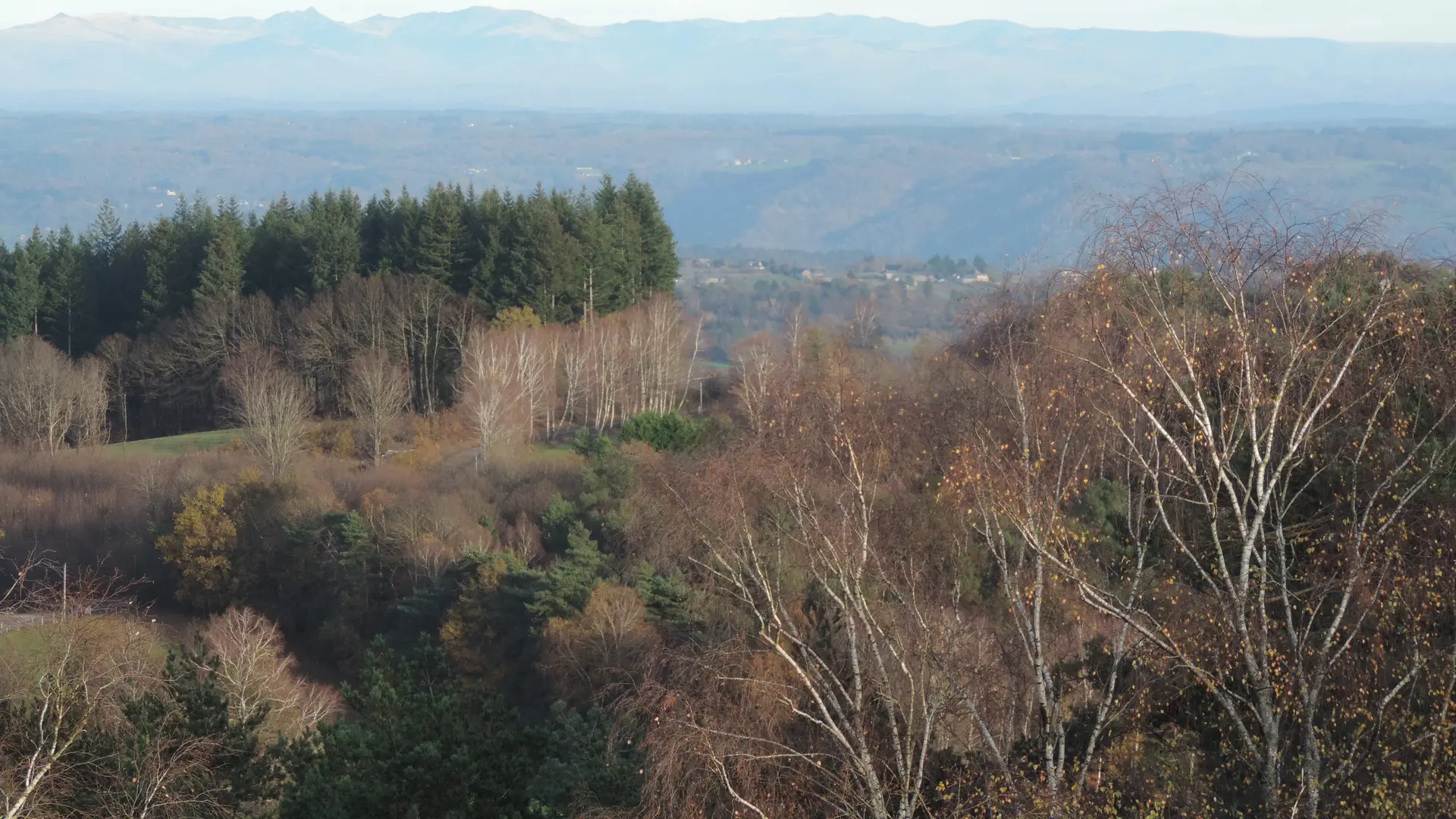 Depuis Roche de Vic
