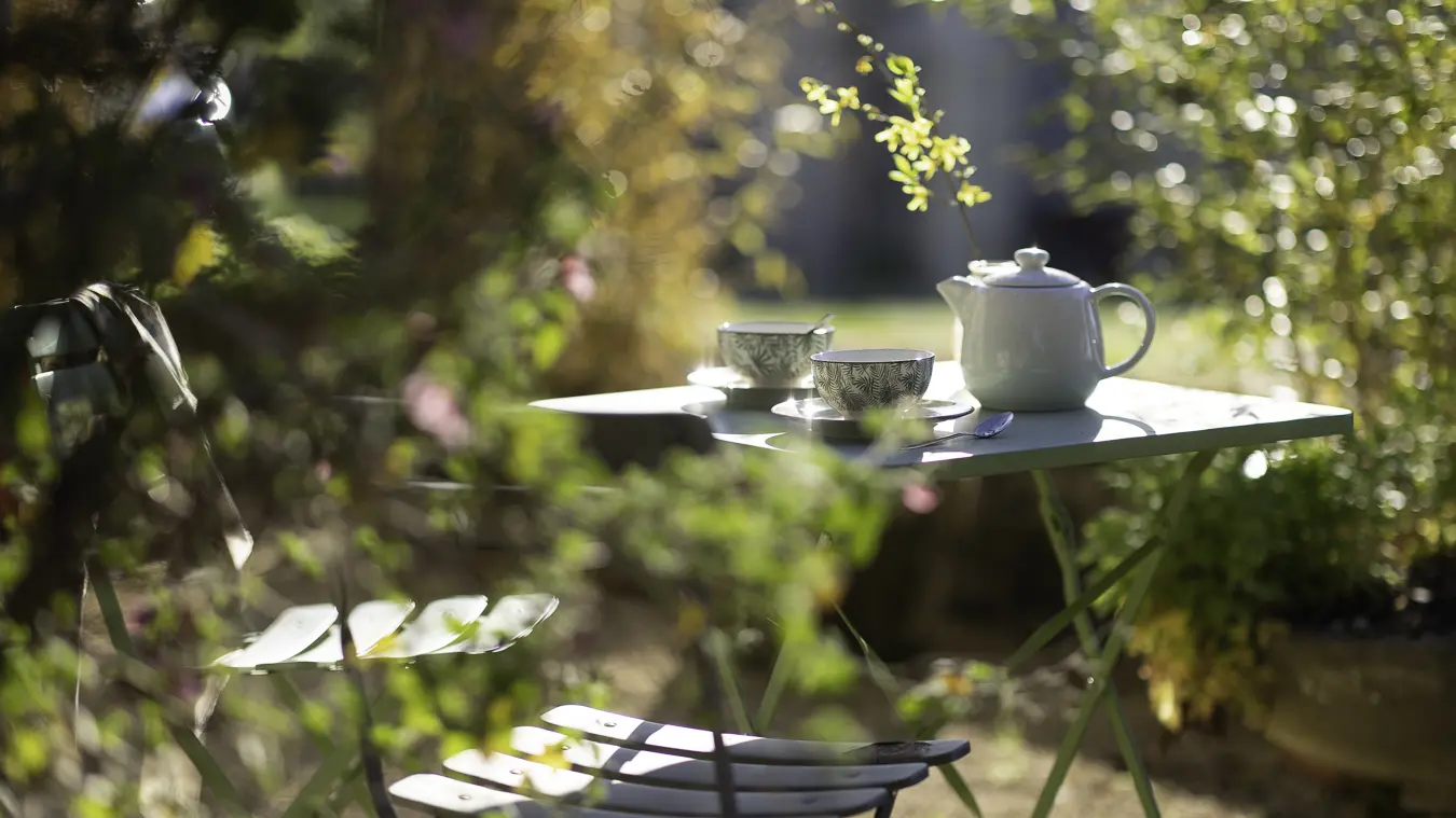 les matins du monde à Bel air
