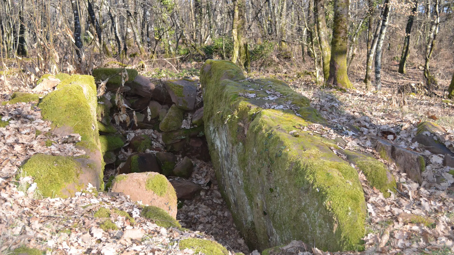 Dolmen_La_Ramiere_032