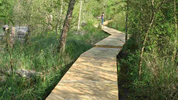 Sentier sur caillebotis