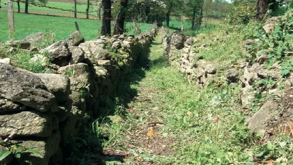 Murets de Pierres sèches