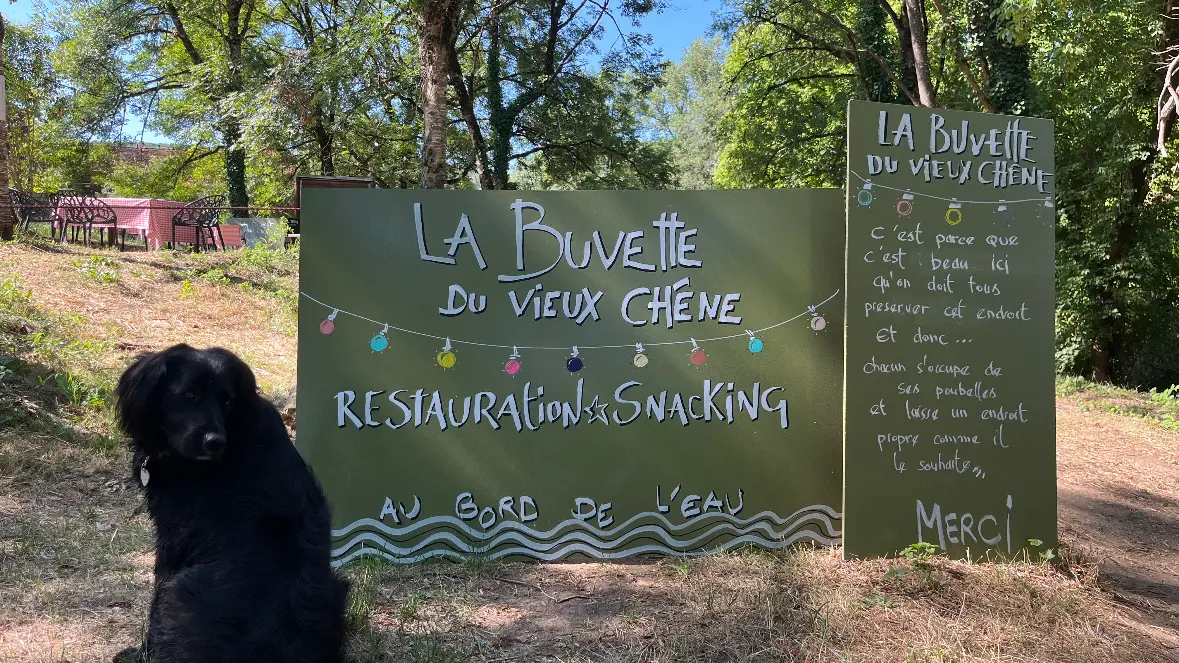 Buvette du vieux chêne