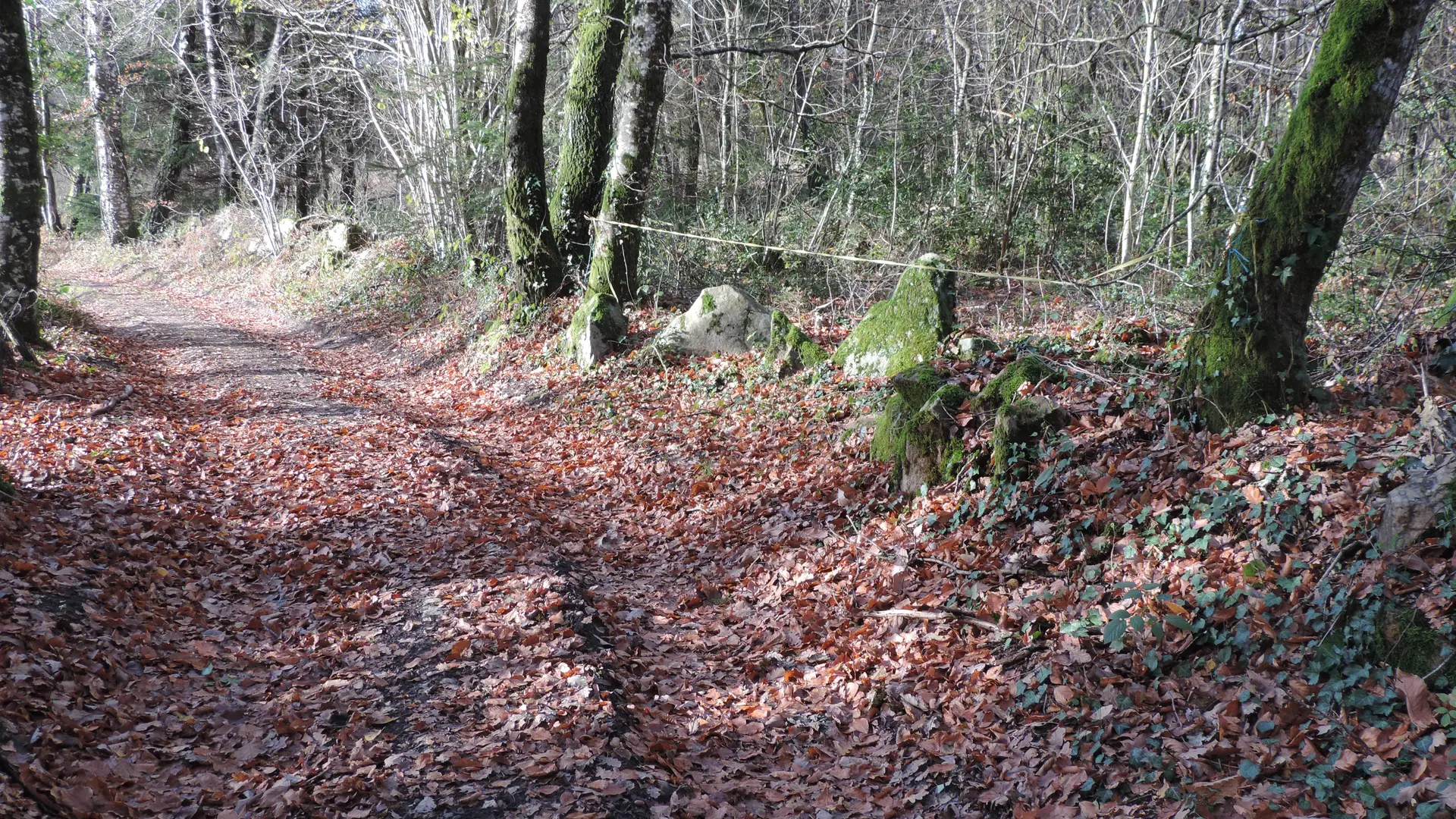 En suivant le chemin