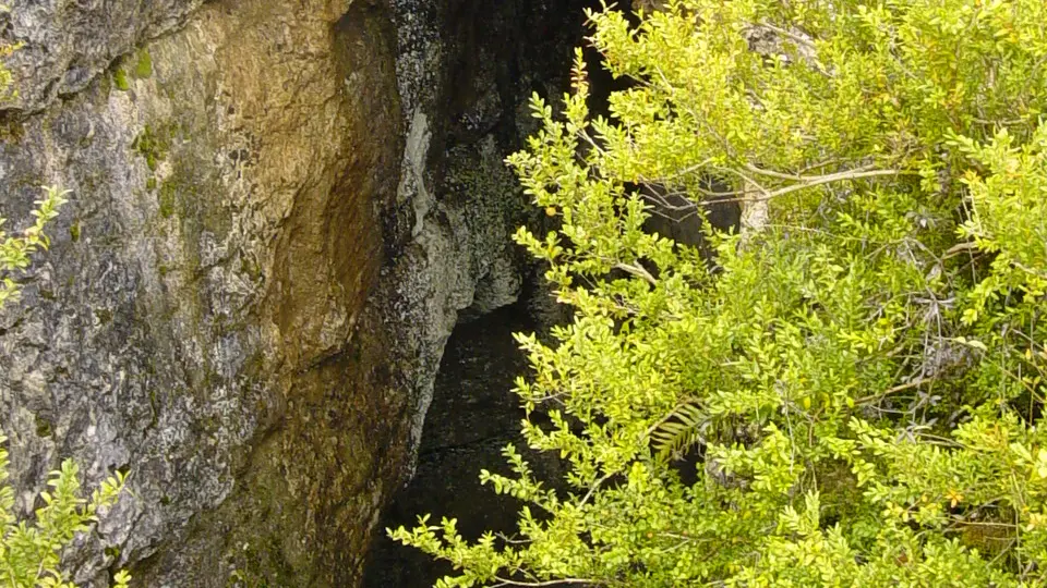 Entrée de grotte