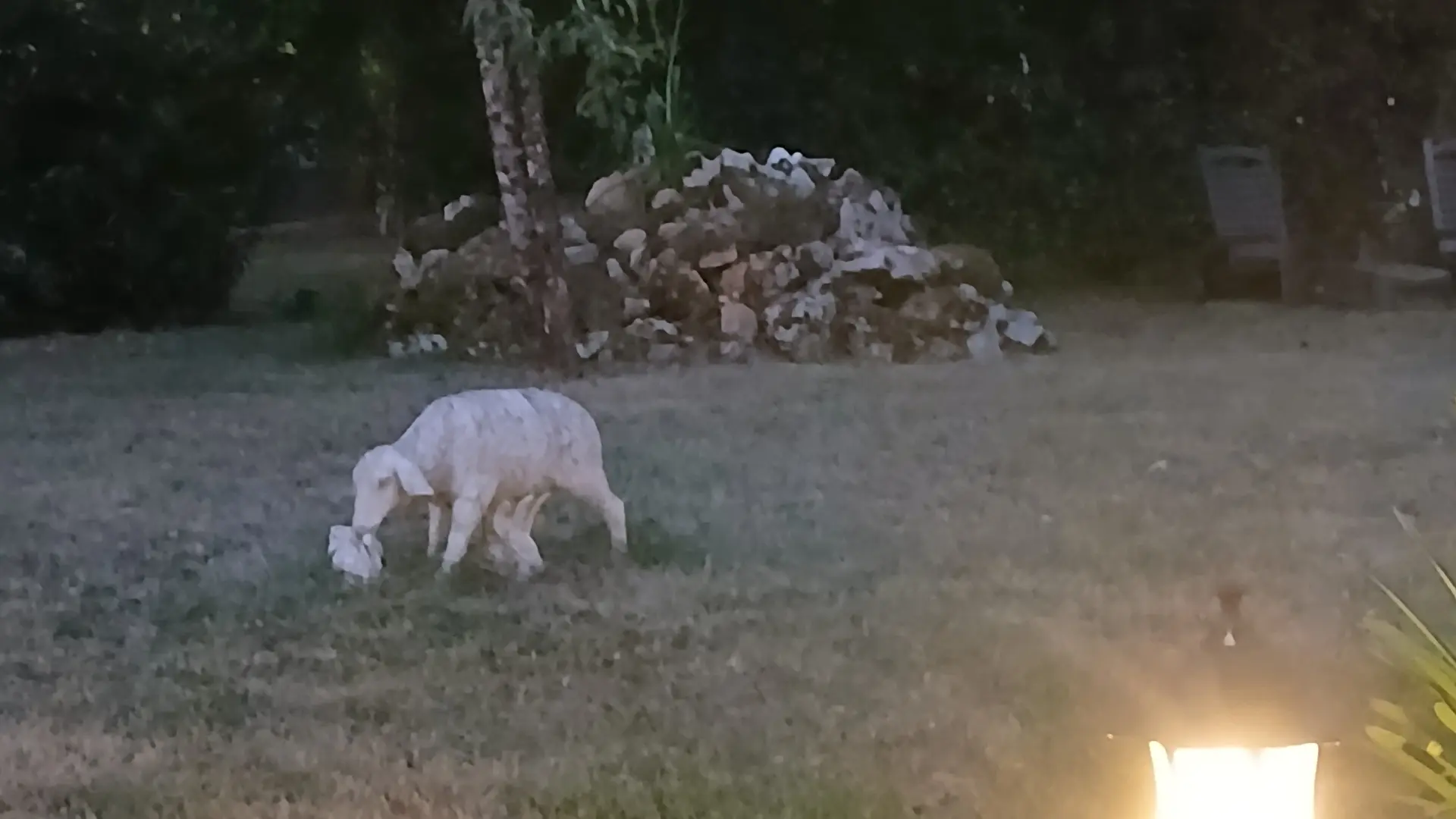 Entrée éclairage nuit (2)