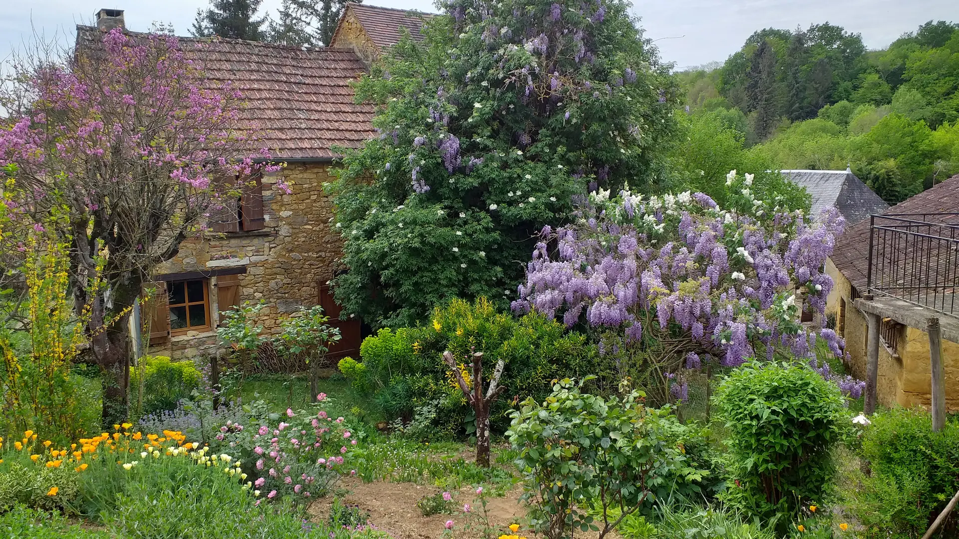 La maison dans son environnement