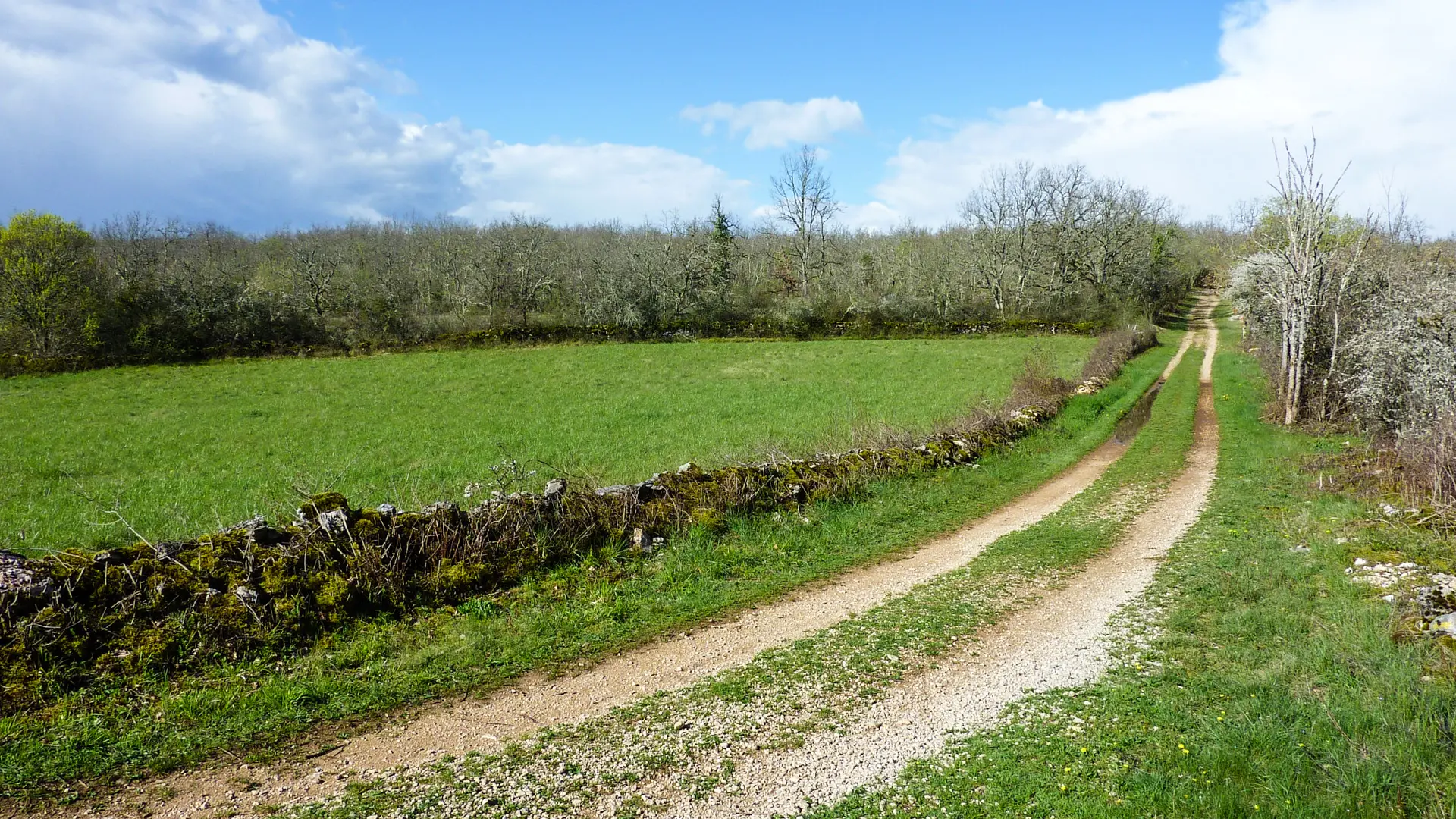 Escabasse - Chemin de castine longeant la clairière  © Lot Tourisme - C. Sanchez