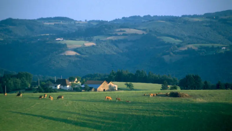 Panorama sur le Haut Ségala
