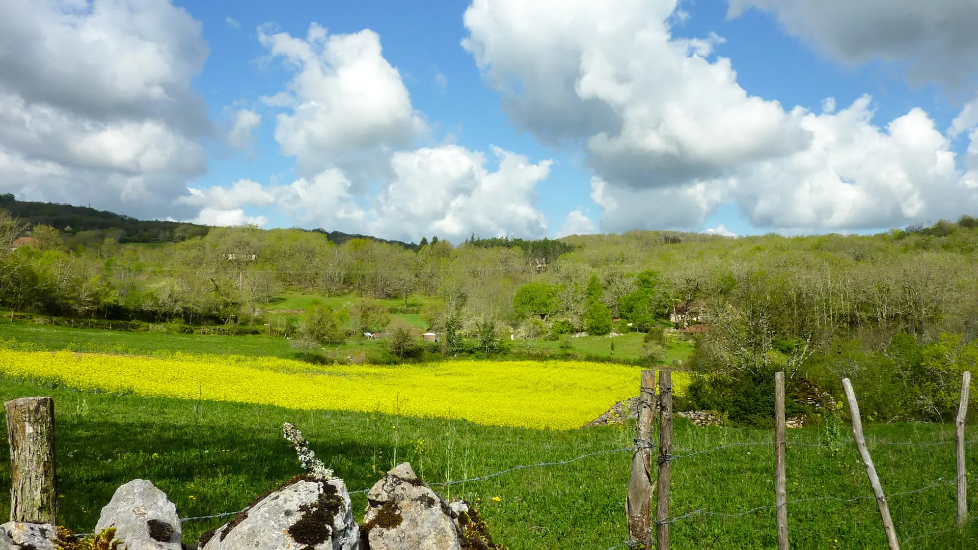 Faysse - Champ de Colza © Lot Tourisme - C. Sanchez