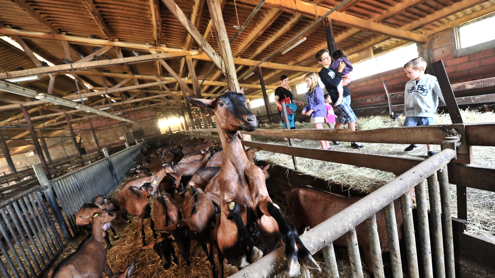 Ferme-Auberge du Mas de Thomas à St-Sulpice_05 © Lot Tourisme - C. ORY