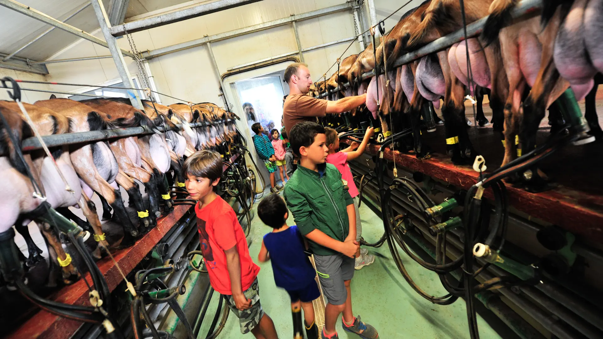 Ferme-Auberge du Mas de Thomas à St-Sulpice_10 © Lot Tourisme - C. ORY