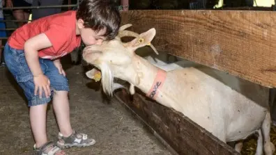 Ferme de Lahore