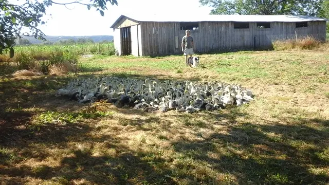 Ferme des Boutières - Creysse 1 OK