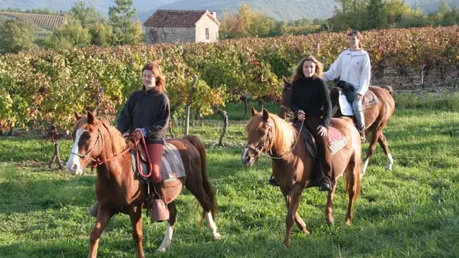 Ferme équestre Lafontaine - Montcléra