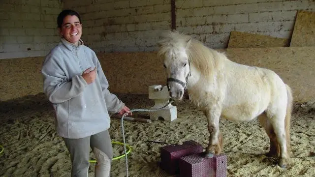 Ferme équestre de Seuzac - Larnagol