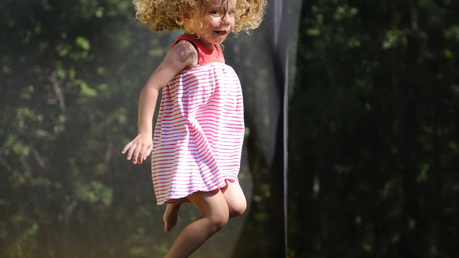 Trampoline même pour les pitchous