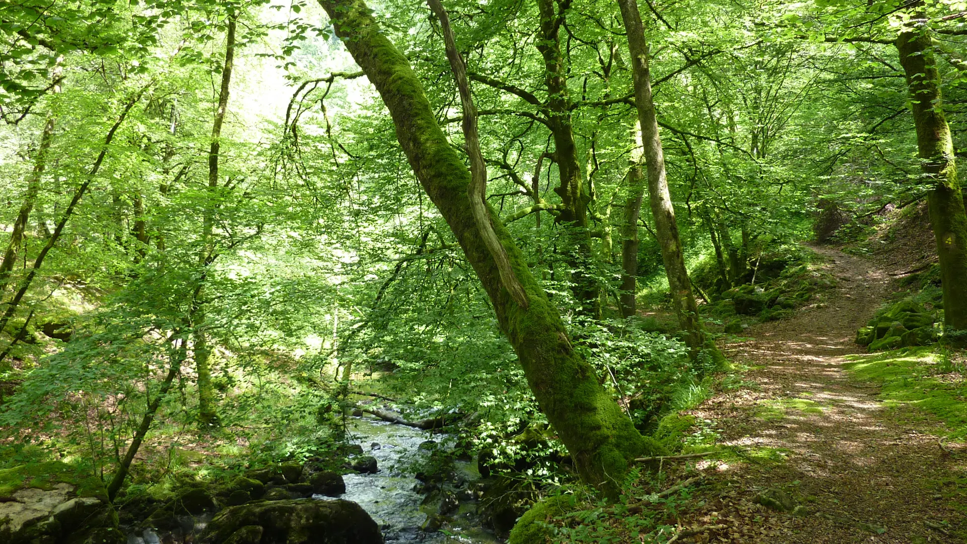 Fournol - Le long du ruisseau Cayla_15 © Lot Tourisme - C. Sanchez