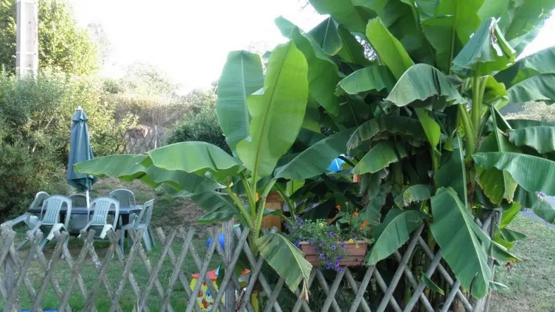 Gîte-Clavel-Beynat_jardin