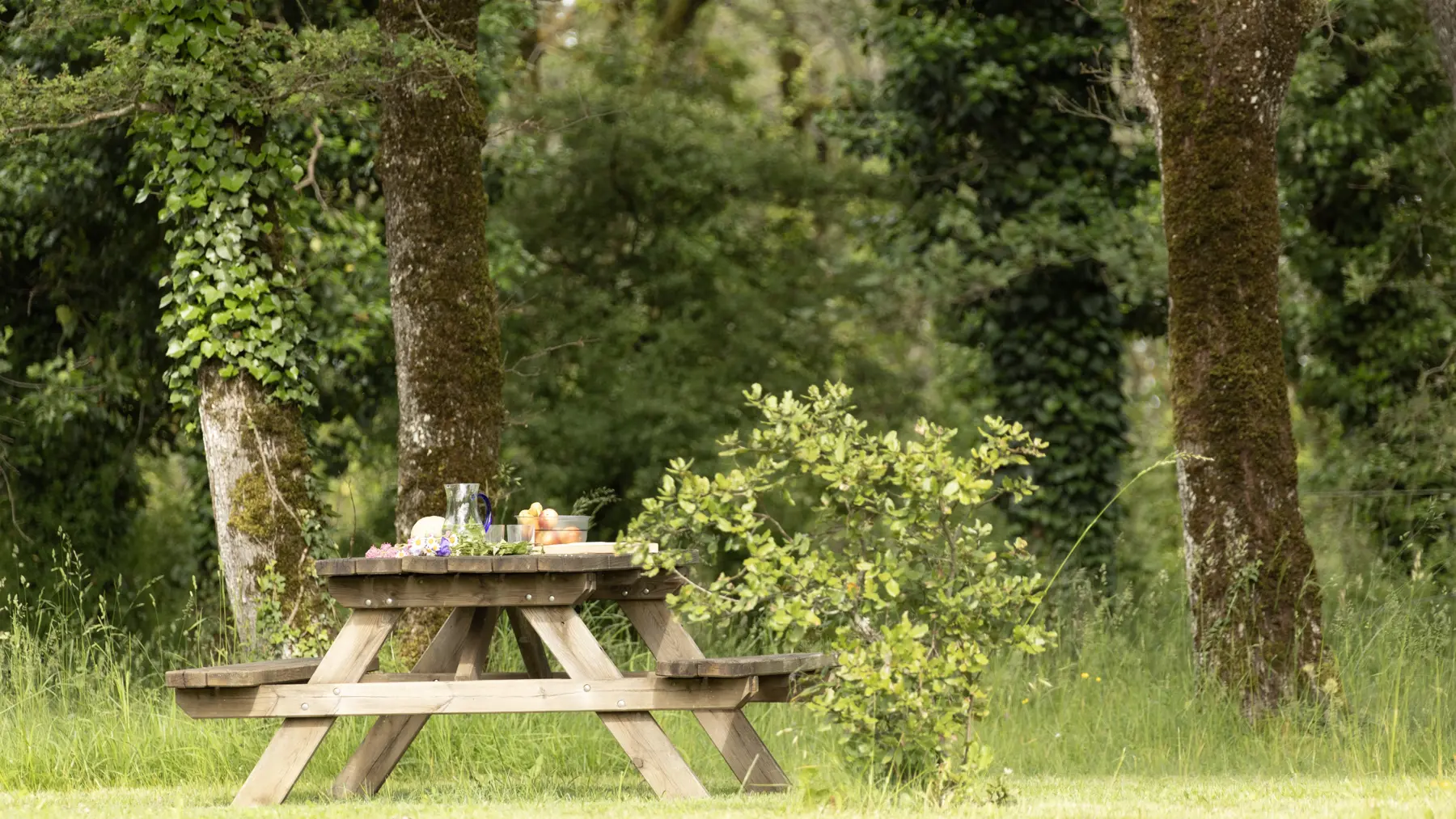 Gîte-La-Maison-des-Figuiers-©MalikaTurin-3556