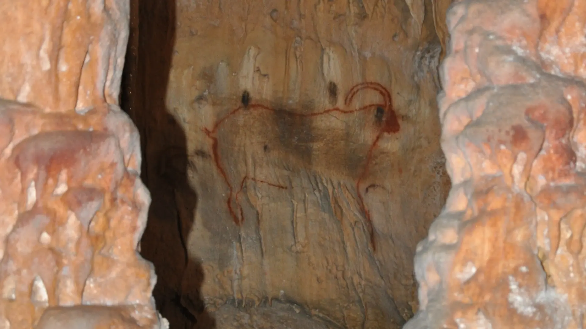 Grottes de cougnac - Gourdon - Bouquetin