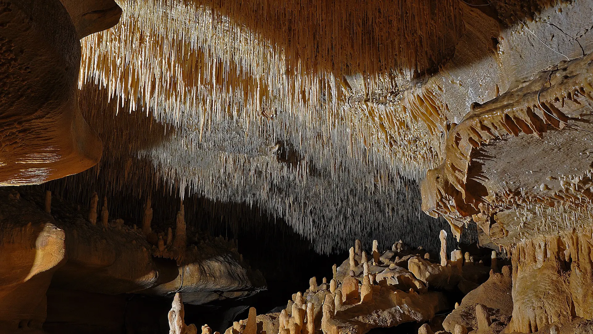 Grottes de cougnac - Gourdon - plafond salle