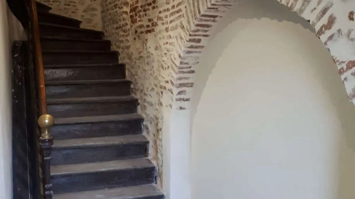 Hirondelles entrée