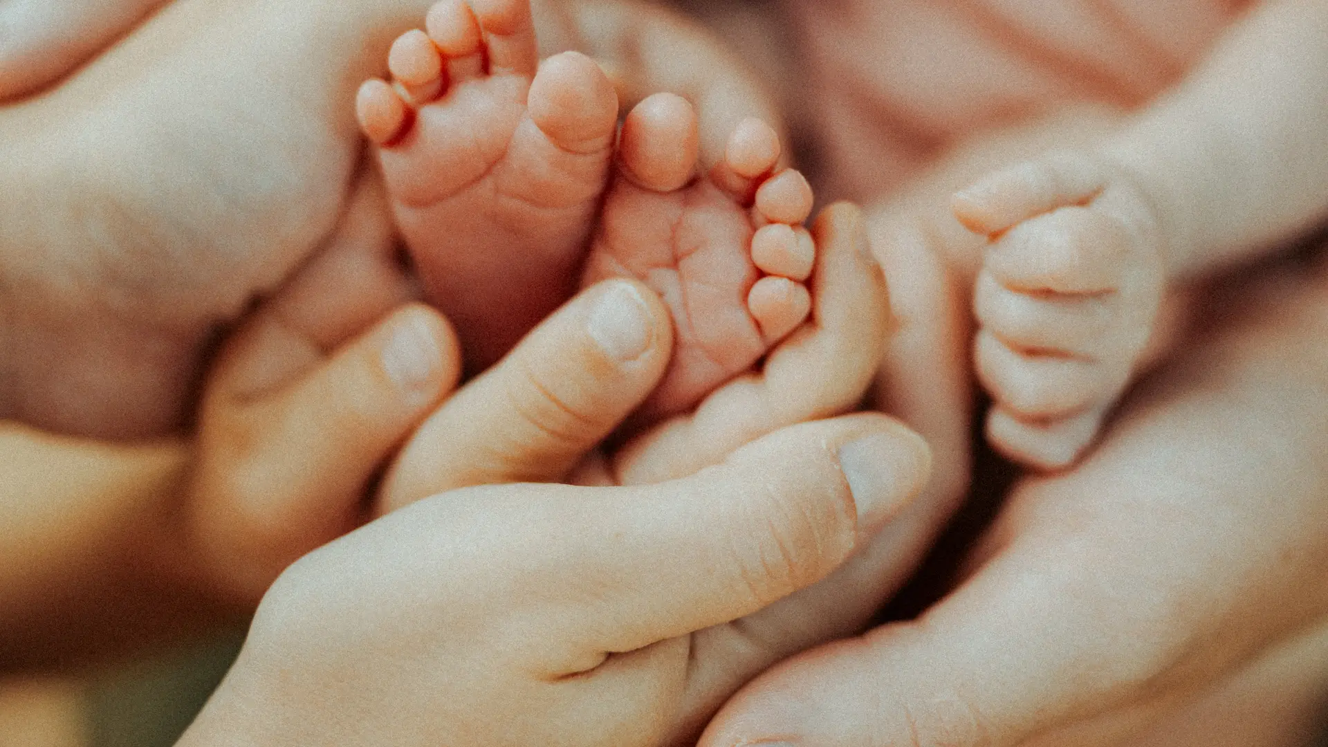 Olivia - Août 24-14