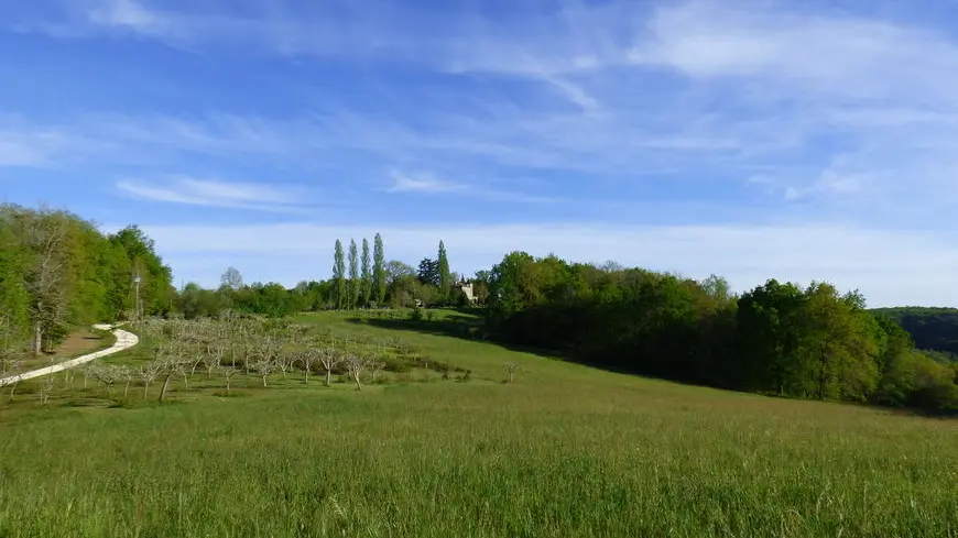 Notre Domaine Lajanèze