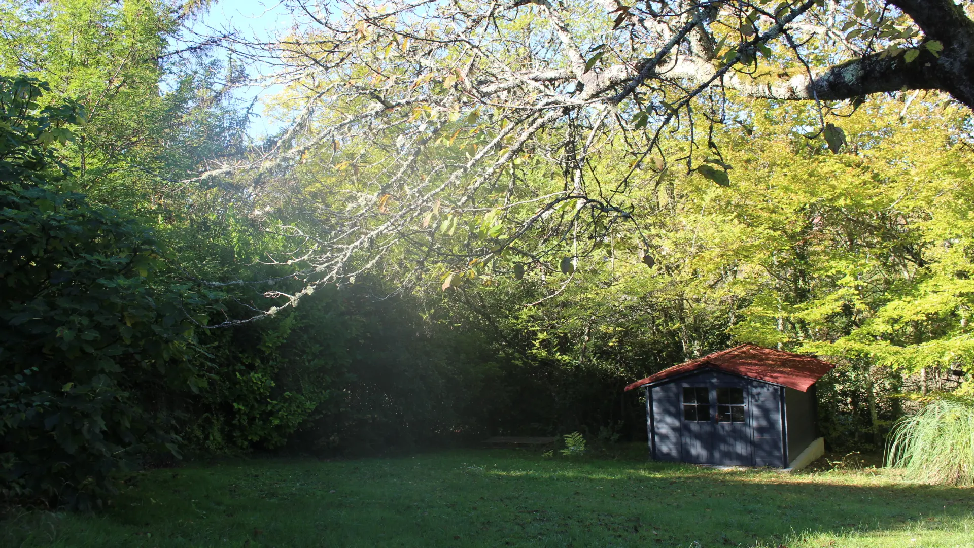 Cabanon au fon du terrain