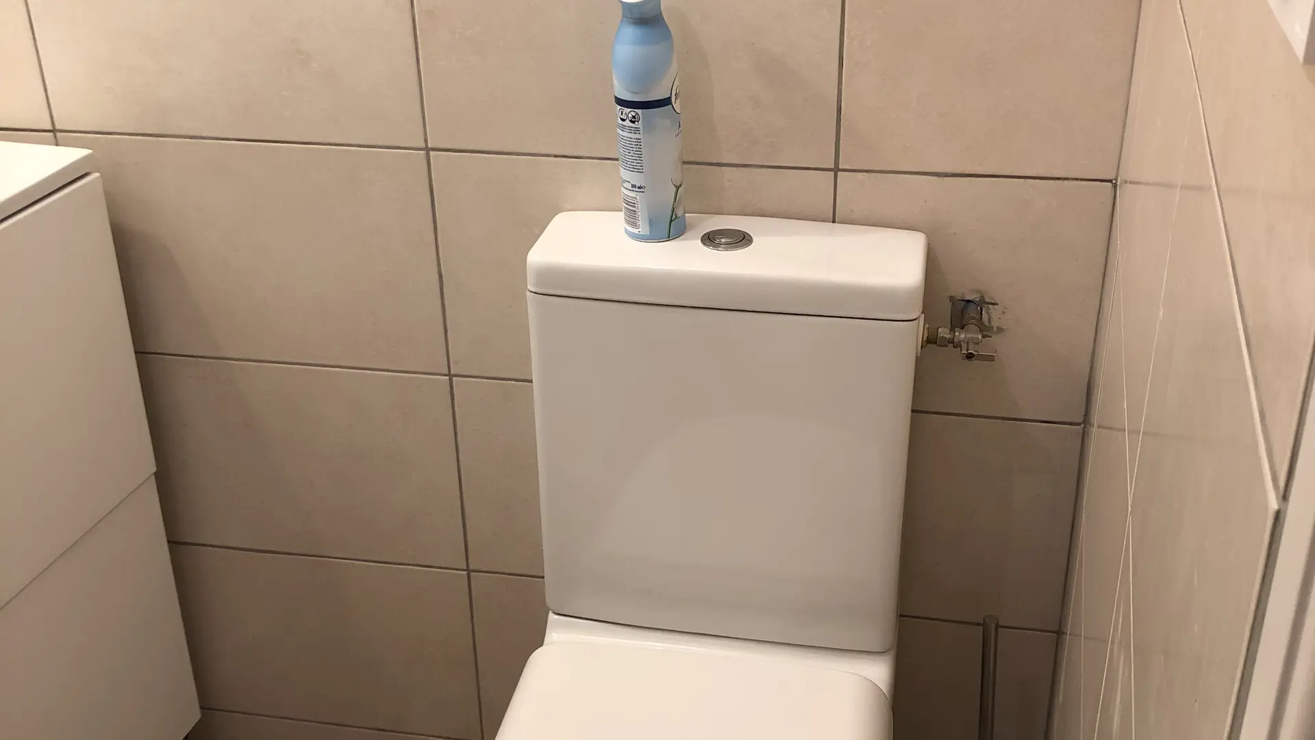 WC dans salle d'eau (au RDC)