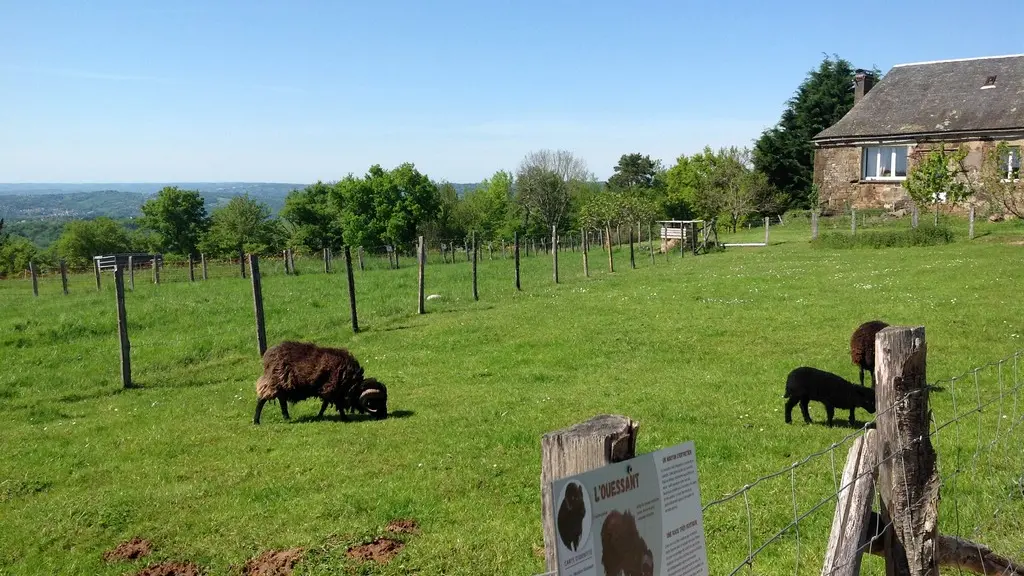 Ferme de Brossard - Ferme Pédagogique_pres