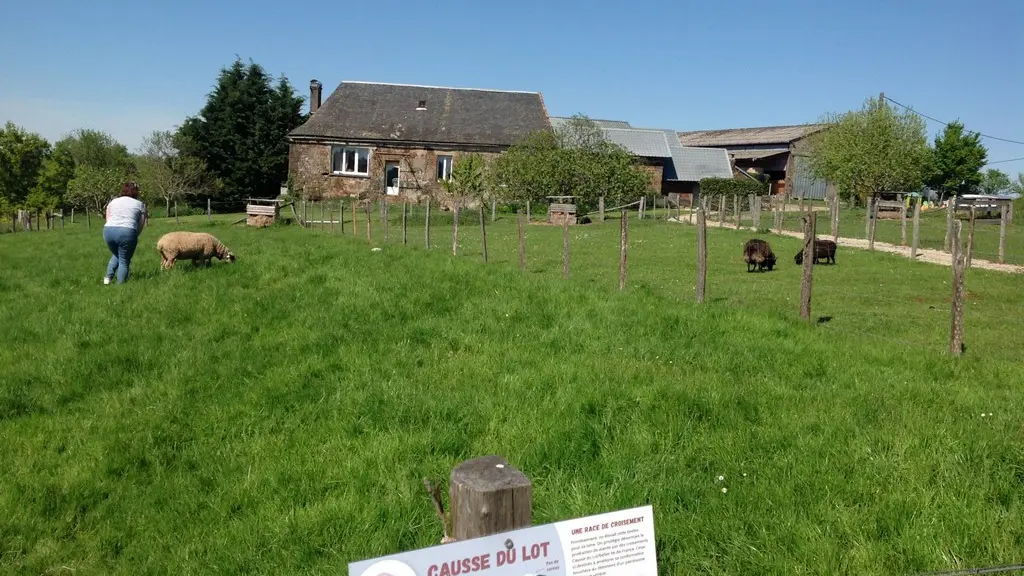 Ferme de Brossard - Ferme Pédagogique_enclosMoutons