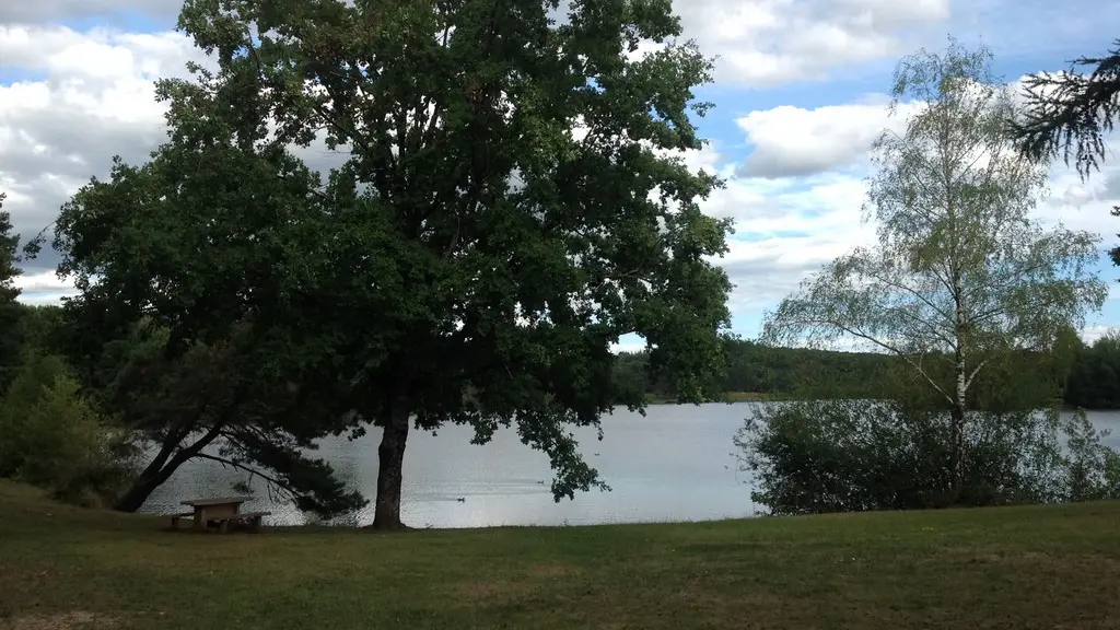 Aire Pique Nique 3 Lac du Coiroux - Aubazine