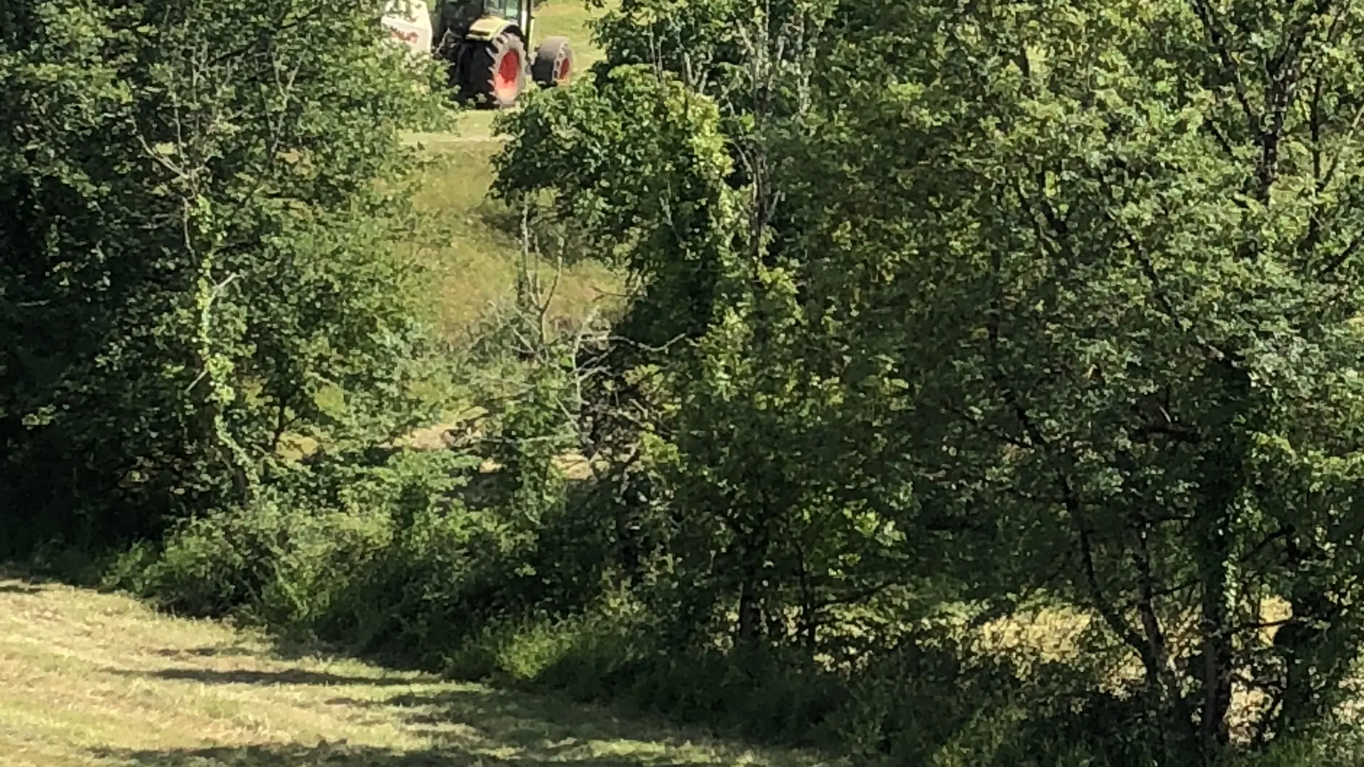 Vue sur champs et bois, de la maison