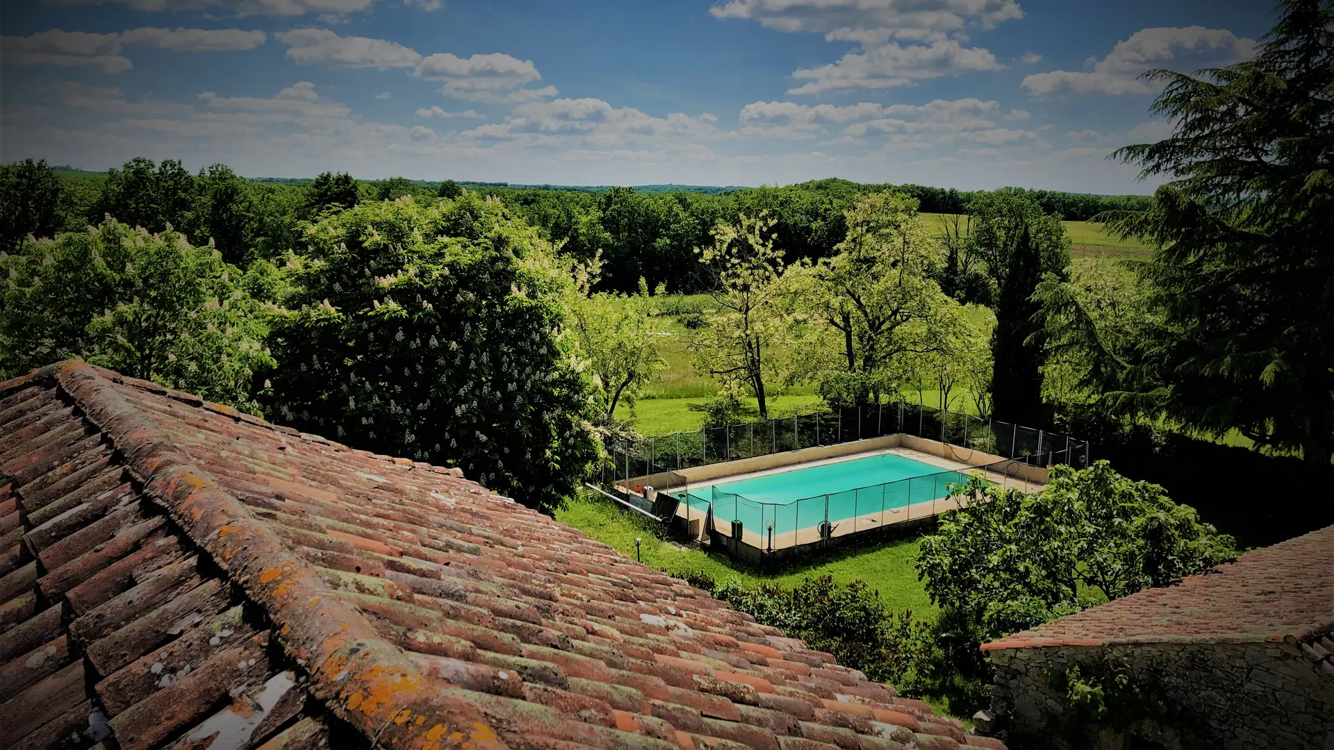 Piscine et jardin immense