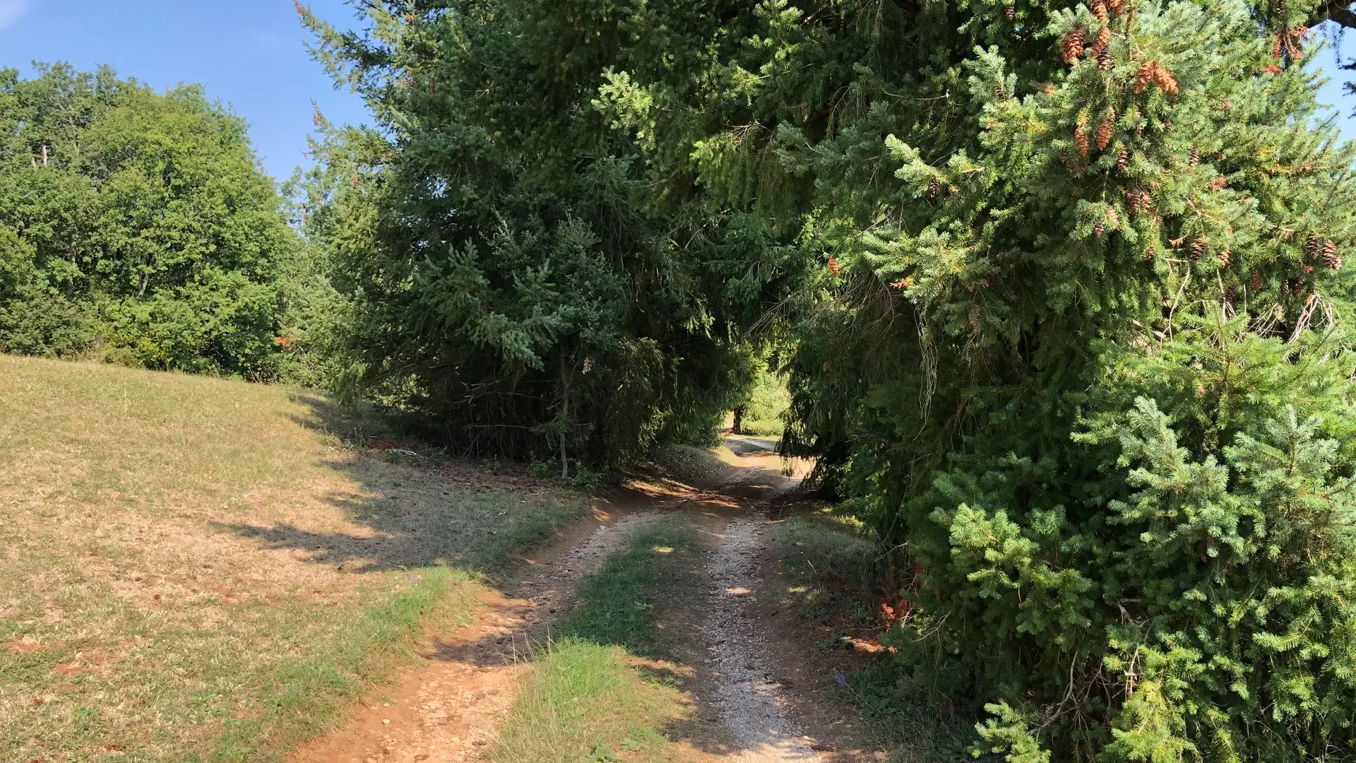 Arrivée par un chemin privatif qui part de la route communale.