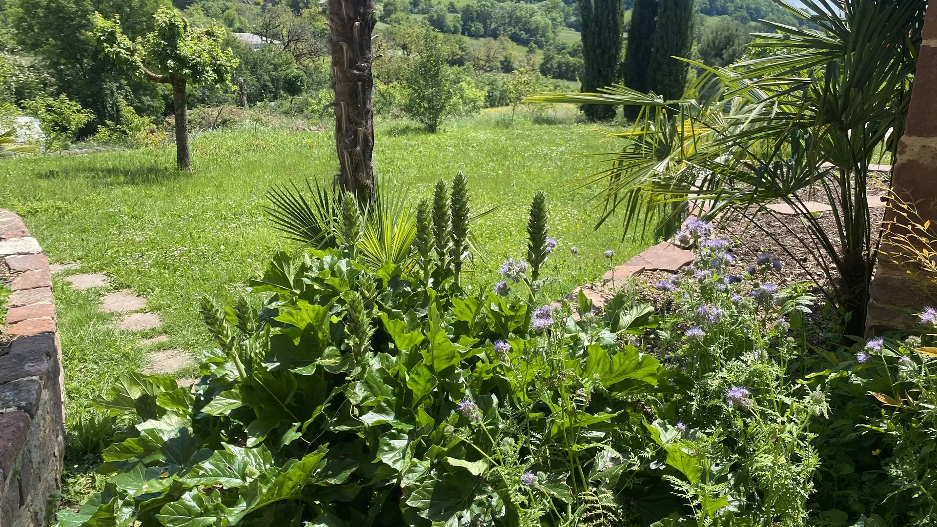 Vue sur collines